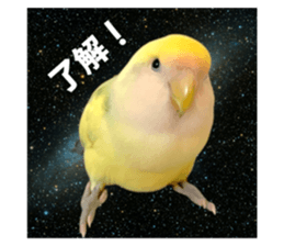 744999019