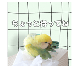 744999021