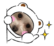 745000041