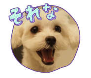745000042