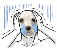 745000046