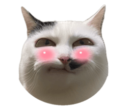 745013420