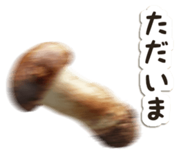 745050307