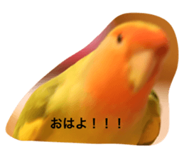 745063116