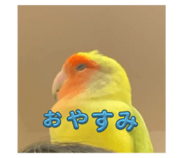 745063117
