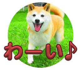 745069326