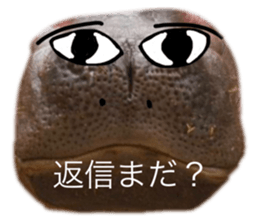 745074280
