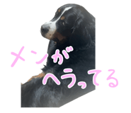 745083523