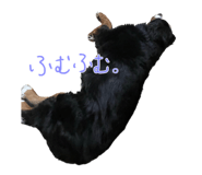745083525