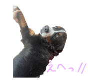 745083529