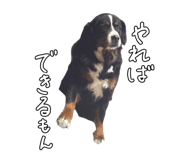 745083531
