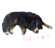 745083532