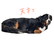 745083543