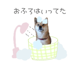 745087032