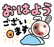 745093094