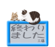745141009