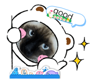 745145475