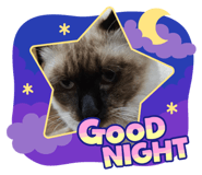 745145480