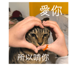 745146366