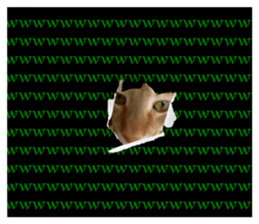 745160204