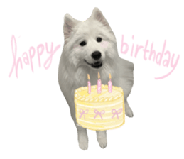 samoyed v.4 รูปที่ 26