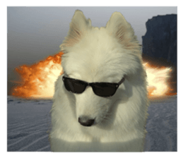 samoyed v.4 รูปที่ 31