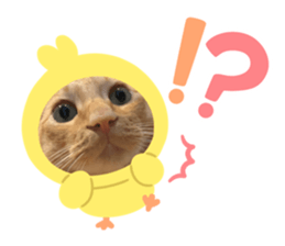 745168894