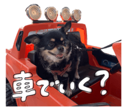 745177520