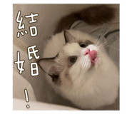 745186405