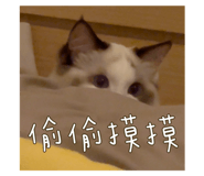 745186406