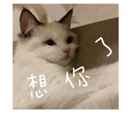 745186408