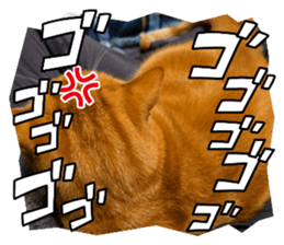 745201374