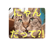 745205089