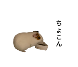 745206236