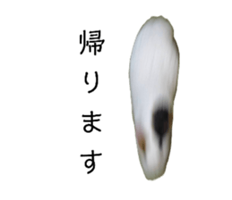 745206259
