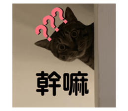 745216503