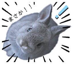 745221805
