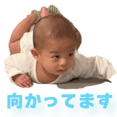 745221954