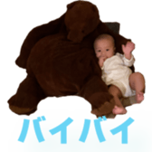 745221955