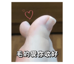 745223829