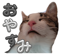 745225090