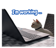 745225856