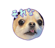 745227763