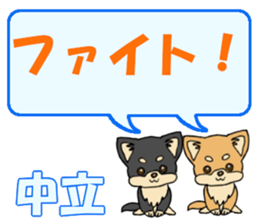 745251080
