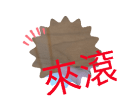 745253667