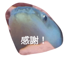 745255233