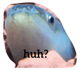 745255234