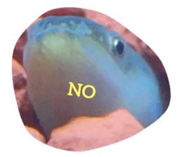 745255236