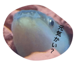 745255237