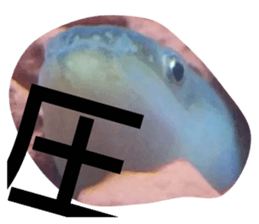 745255240